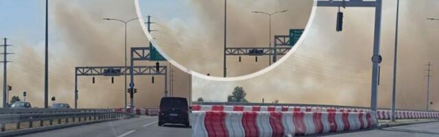 VELIKI POŽAR KOD SURČINA! Bukrinja guta rastinje, kulja GUST DIM! (FOTO, VIDEO)