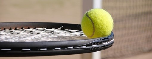 Medvedev prvi finalista Pariza