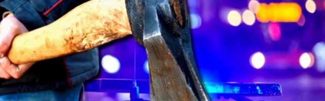 STRAVIČAN ZLOČIN KOJI JE POTRESAO REGION: Sekirom je ubio majku, očuha i baku! Inspektori na licu mesta zatekli prizor o kojem ni danas ne mogu da govore