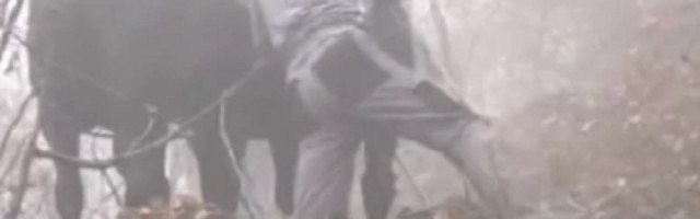 Nenad i Saša rade jedan od najtežih poslova i prava su retkost u Srbiji