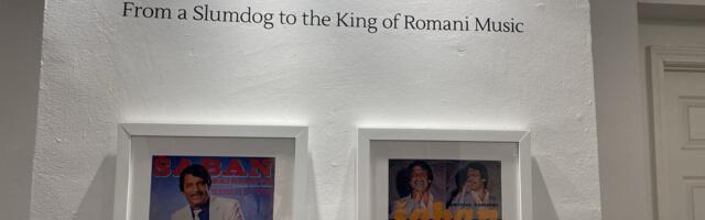 Produženo trajanje izložbe o Šabanu Bajramoviću u New Orleansu