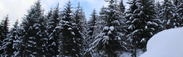 DRAMA NA SUVOJ PLANINI! Muškarcu (62) pozlilo tokom uspona, pripadnici GSS hitno reagovali! Dva sata ga spuštali sa planine - zbrinut u UKC Niš