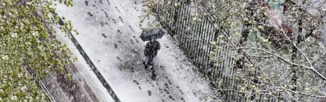 Sneg pada u Hrvatskoj i Sloveniji: Olujni udari vetra otežavaju saobraćaj, evo kakvo će vreme biti u sredu