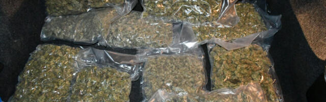 Uhapšene Nišlije zbog dilovanja – policija pronašla 12 kilograma marihuane i 700 grama kokaina