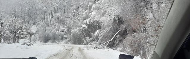 Sijarinska Banja i Medveđa bez struje zbog pada stabla pod težinom snega