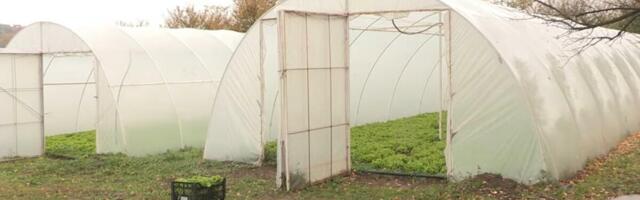 Stižu velike promene za poljoprivrednike! Uskoro će svi morati ova stroga pravila da ispoštuju!