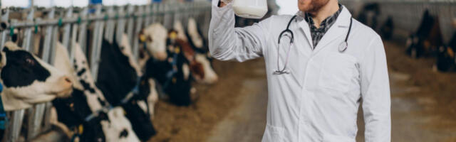 Руски научници развили сензор који открива антибиотике у млеку