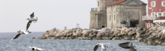 OVA GREŠKA ĆE JE SKUPO KOŠTATI! A za sve su krivi galebovi!