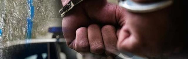 Pala srpska narko banda: Ovo je šema po kojoj su radili u Austriji