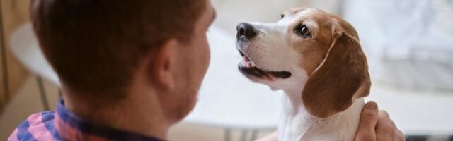 Vaš pas zna ko vam želi zlo: 3 znaka kojima vas upozorava na loše ljude