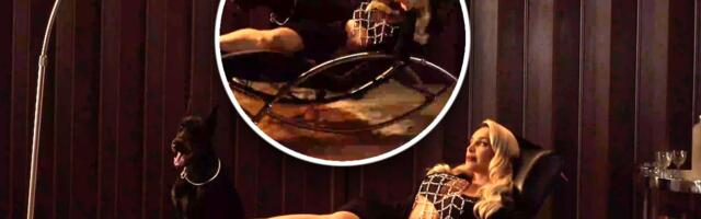 Pas skočio na Maju Berović, ekipa odmah zaustavila snimanje! Haos na setu, pogledajte njenu reakciju