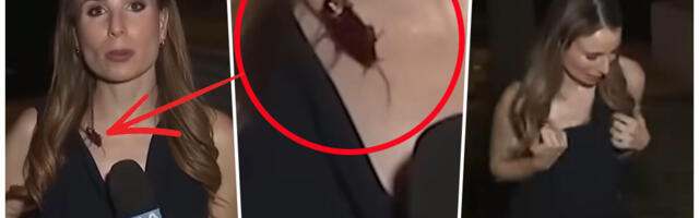 OGROMNA BUBAŠVABA GMIŽE PO VRATU VODITELJKE, ONA NE REAGUJE! Gadan snimak iz LA, pogledajte kada Rejčel kreće da se trese: Pokušala da mi ukrade slavu (VIDEO)
