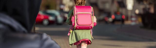 DETALJI HAPŠENJA U ZEMUNU: Napao devojčicu u liftu, tužilaštvo traži pritvor