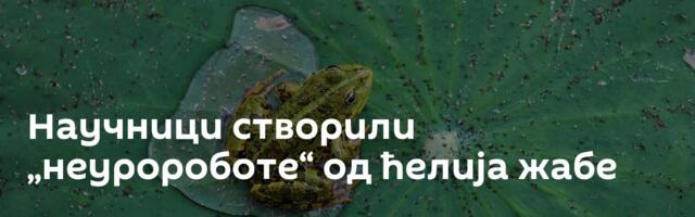 Научници створили „неуророботе“ од ћелија жабе