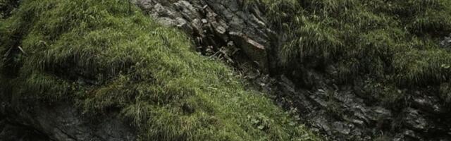 Vozač u Grčkoj pao sa 70 metara visine - i završio bez povreda