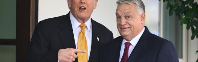 Operacija 'SPASITI ORBANA': Tramp šalje ključnog čoveka u Mađarsku, stiže u utorak, zadatak je samo jedan!