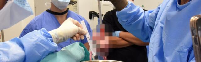 Od dijalize do novog života: Šesta transplantacija bubrega u Dečjoj klinici u Tiršovoj od početka godine