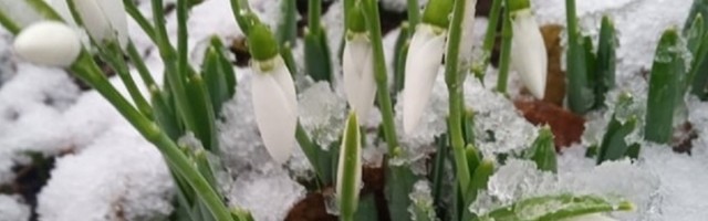 Rada na Božić izašla u dvorište i u snegu ugledala ZNAK koji je obradovao celu porodicu (FOTO)