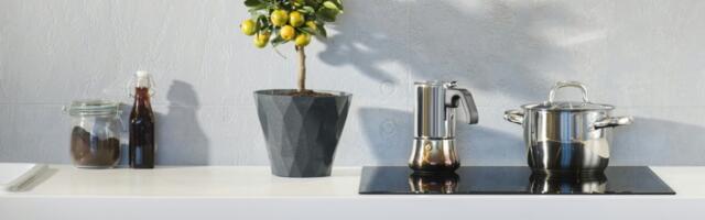 Feng šui: 6 najsrećnijih biljaka za vašu kuhinju