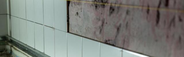 Štete na kući i stanu tokom zime: Vlaga, cevi i smrzavanje i kako sprečiti probleme