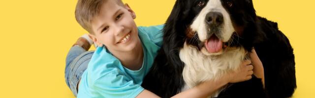 Možete li da ostanete ravnodušni: Pas nežno grli dečaka na rastanku, komentari preplavili mreže