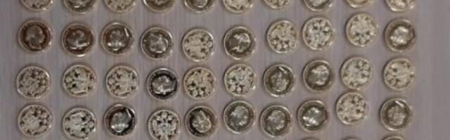 Na Batrovcima otkrivena 193 zlatna novčića: U instrument tabli kombija Italijan sakrio skoro kilo zlata!