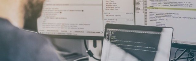 Gde ide uhapšeni programer?