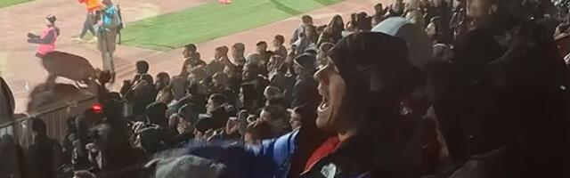 Ovako je Baka Prase bodrio Vojvodinu na Karađorđu: Hvatao se za glavu, skakao, pevao, nervirao se...