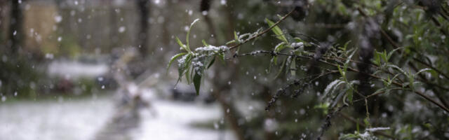 Дубровник: због невремена низ интервенција ватрогасаца