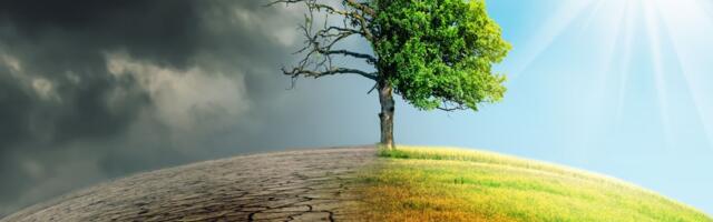 Da li i građani menjaju stare navike? Ovo je novi talas ekološke odgovornosti