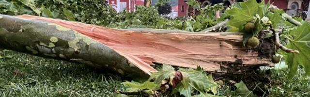 NEVREME UNIŠTILO U SEKUNDI SIMBOL SABORA TRUBAČA U GUČI! Meštani u neverici, ovo još nije viđeno (FOTO)