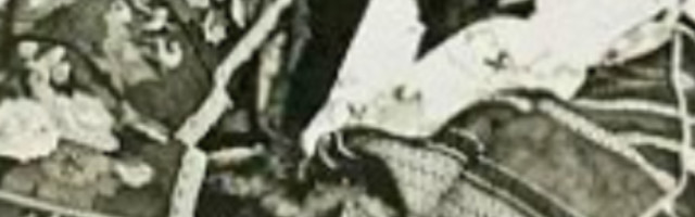 Evo kako su izgledale misice iz Srbije i Hrvatske pre 90 godina! (FOTO)