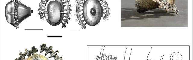 Dragulj kao za vojvodu: Srednjovekovno blago pronađeno u šancu