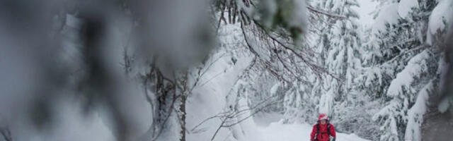 Евакуисана група од осам кинеских планинара у Баварској