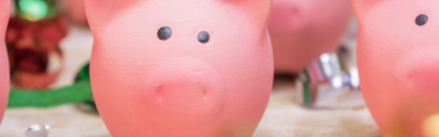 Svinja je daleko pametnija i plemenitija životinja od onoga kakvom je smatramo