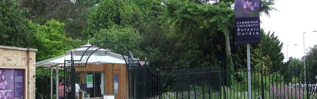 Biljke koje govore u Botaničkoj bašti Kembričkog univerziteta