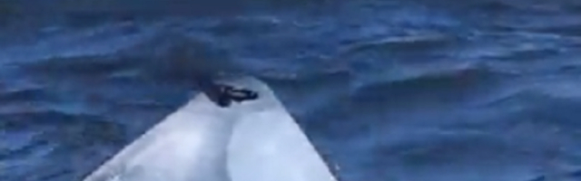 Kajakaš je svoje poslednje trenutke života podelio sa prijateljima na fejsbuku (VIDEO)