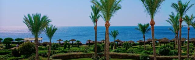 Skandal u Trstu: Roditelji ostavili same petoro maloletne dece i otišli na more, učiteljica ih "provalila"