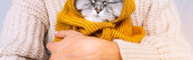 Horoskop otkriva šta nam donosi novembar 2023?