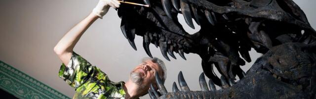 Posle otkrića ostataka ČUDOVIŠTA starog 95 miliona godina internet eksplodirao: "To je ZMAJ, nema dileme!"