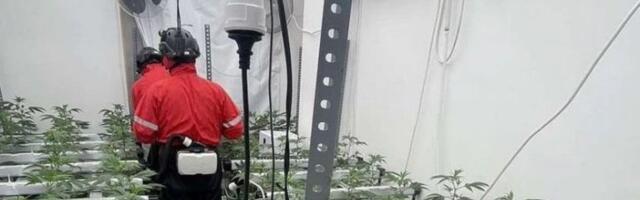 Pretvorio stanove u laboratorije za uzgoj marihuane: Uhapšen muškarac u Beogradu (FOTO)