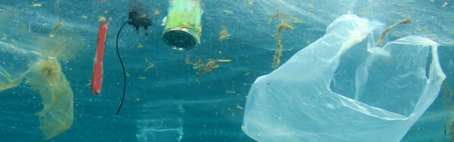 "Naša su mora u nevolji" - Ekolozi traže "okeanske heroje" za desetogodišnji plan za spas