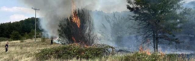 Veliki požar u blizini Leskovca, gase i građani (video)