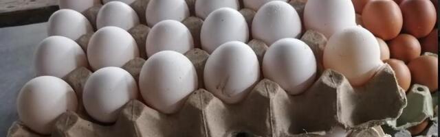 Ne bacajte prazne kutije za jaja: Iskoristite ih u kući, bašti ili dvorištu!