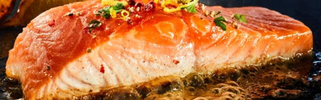 Koliko je riba važna u ishrani?