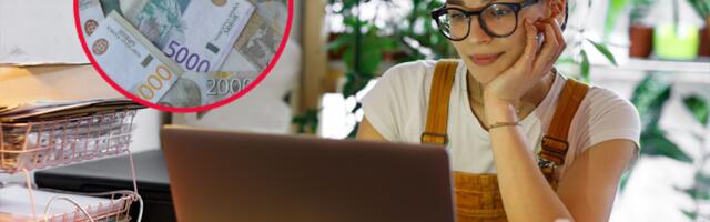 SVE VIŠE LJUDI RADI OD KUĆE! Evo kome se to najviše isplati - TOP 10 ZANIMANJA koja najviše zarađuju i rade iz topline svog doma!