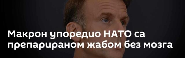 Макрон упоредио НАТО са препарираном жабом без мозга