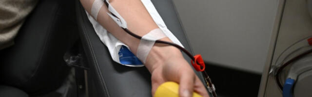 У сусрет Дану жена: традиционална акција давања крви у Крушевцу