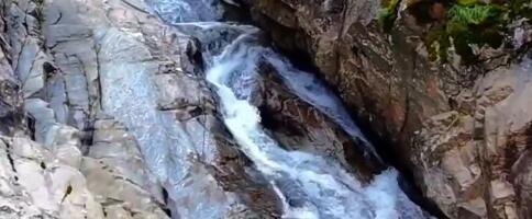 Divna Vučjanka danas (VIDEO)