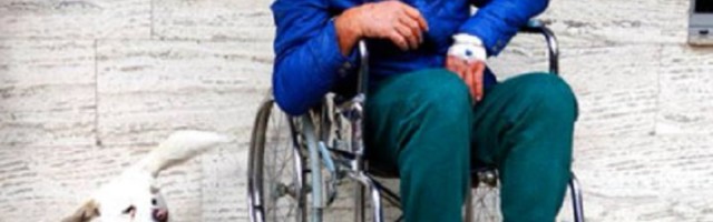 Keruša pratila Hitnu, pa danima čekala gazdu pred bolnicom